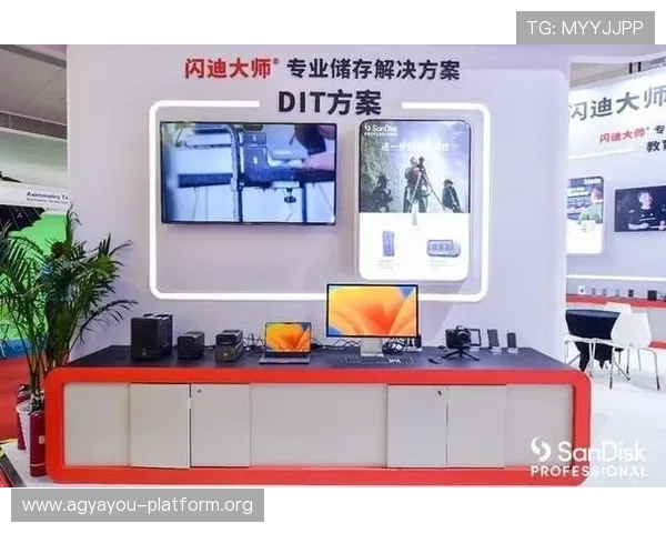 PA视讯安全保障措施全面解析提升用户信任与体验的关键策略